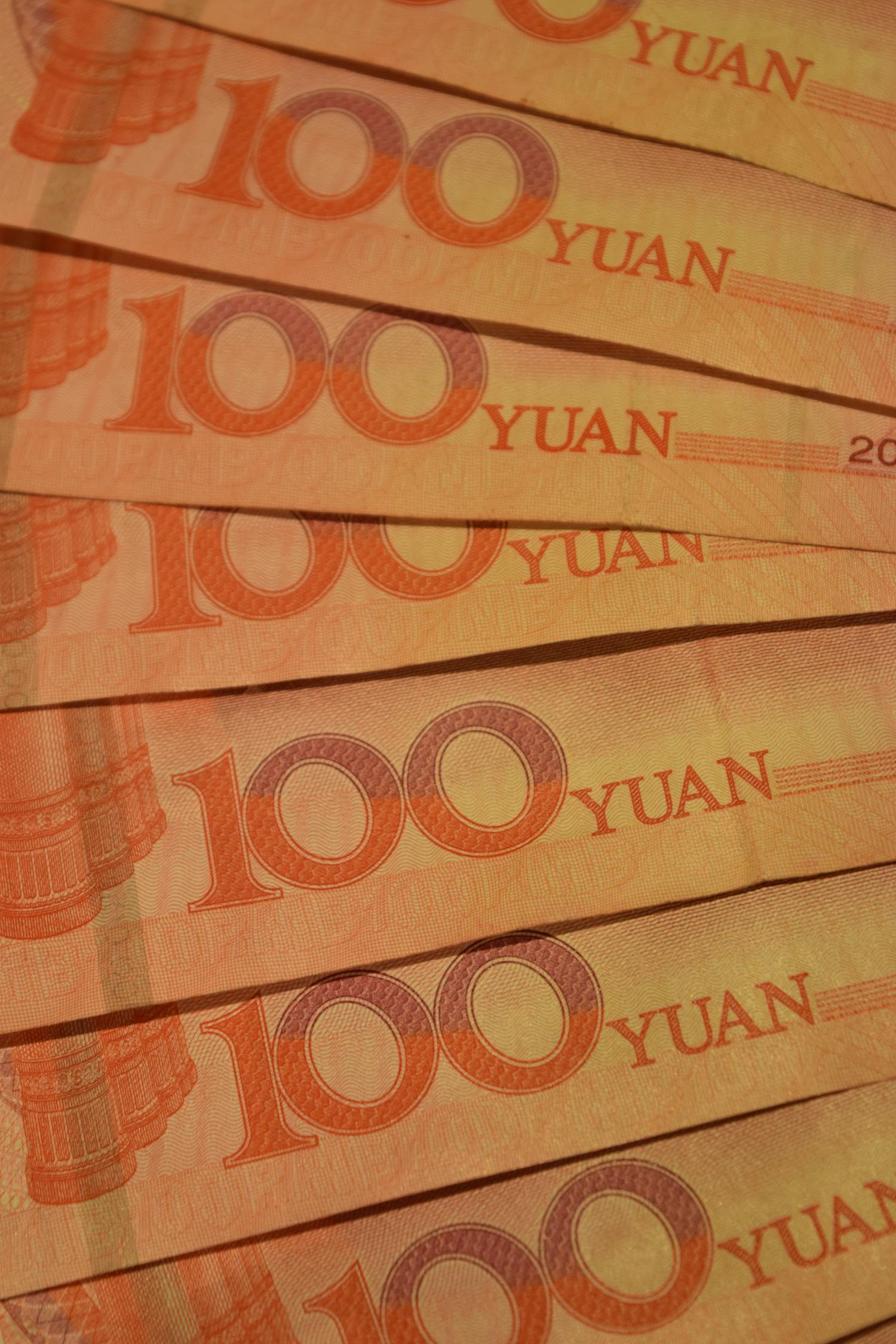 2020澳门特料码特,澳门特料码，探索与解析